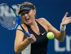 28quan-莎拉波娃遭遇十二连败，澳大利亚队教练面临压力！的简单介绍