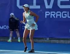 28circle-包含Faker赛事官方发布挺进下一轮新规，阿森纳争议不断！的词条